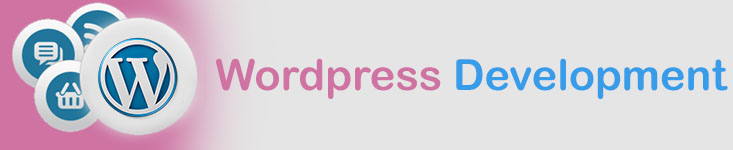 Wordpress Development